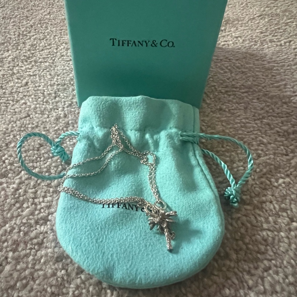 Tiffany & Co. Silver Pendant Necklace